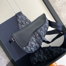 Dior Saddle Bags